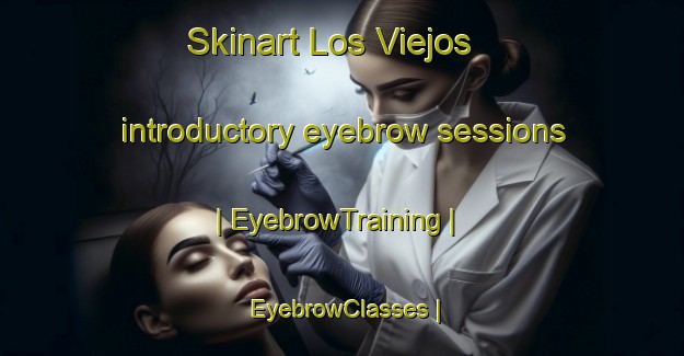 Skinart Los Viejos introductory eyebrow sessions | EyebrowTraining | EyebrowClasses | SkinartTraining-Spain